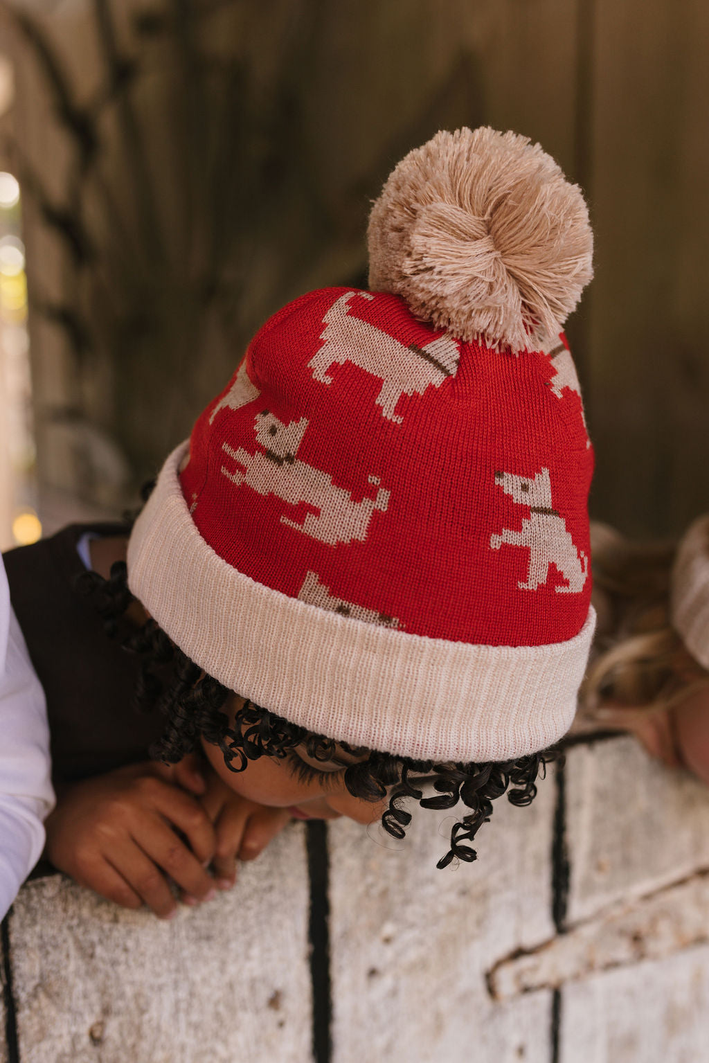 Puppy Dog Merino Beanie on child top view – kids knitted merino wool beanie with sweet puppy dog design – Acorn Kids