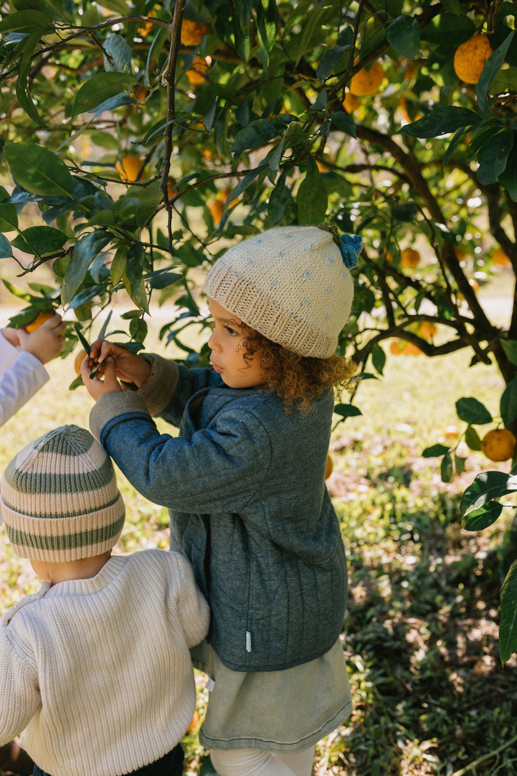 Bluebell Beanie - Acorn Kids Accessories