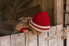 Denmark Beanie Red & Cream - Acorn Kids Accessories