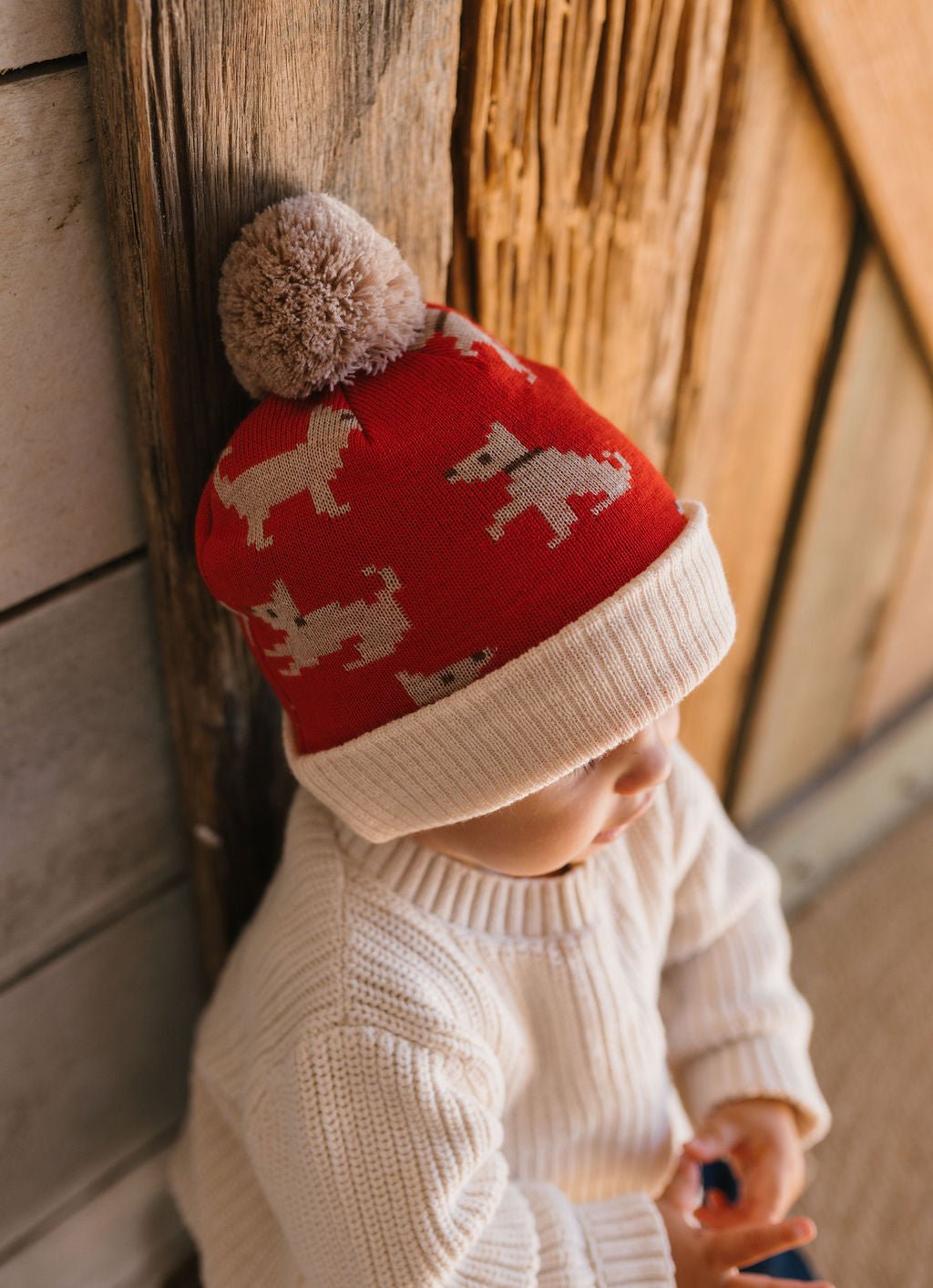 Puppy Dog Merino Beanie - Acorn Kids Accessories