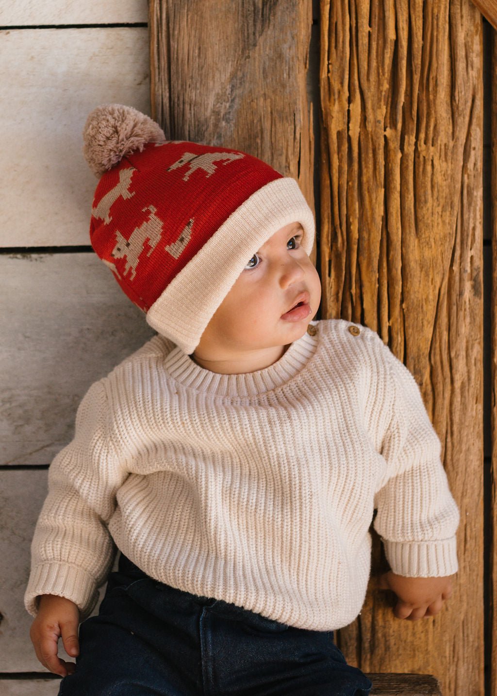 Puppy Dog Merino Beanie - Acorn Kids Accessories