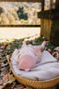 Springbud 100% Merino Gift Set Pink - Acorn Kids Accessories