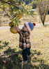Teddy Beanie Blue & Red - Acorn Kids Accessories