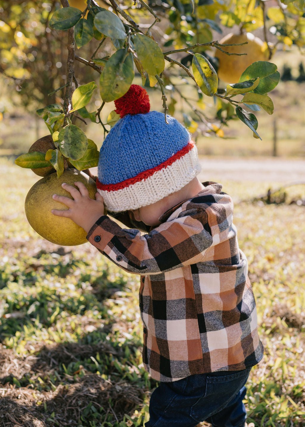 Teddy Beanie Blue & Red - Acorn Kids Accessories